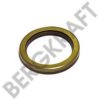 IVECO 40100960 Shaft Seal, differential